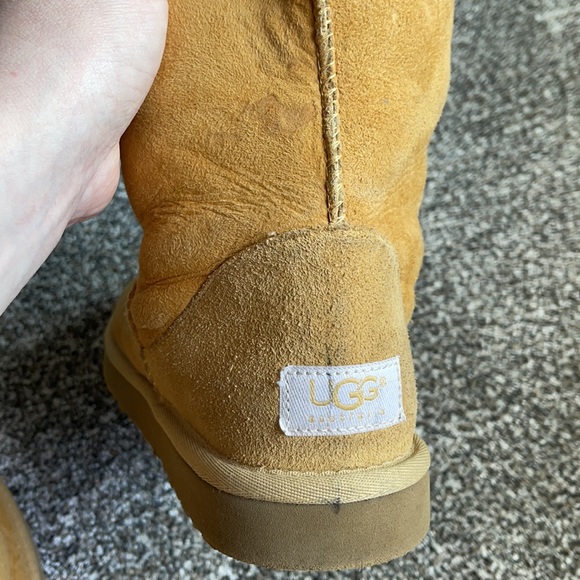 Tall Uggs - Picture 10 of 10